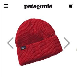 PATAGONIA BEANIE